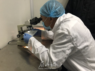 我市兩家醫療用品生產企業開足馬力保供應，承諾口罩等防護產品不漲價